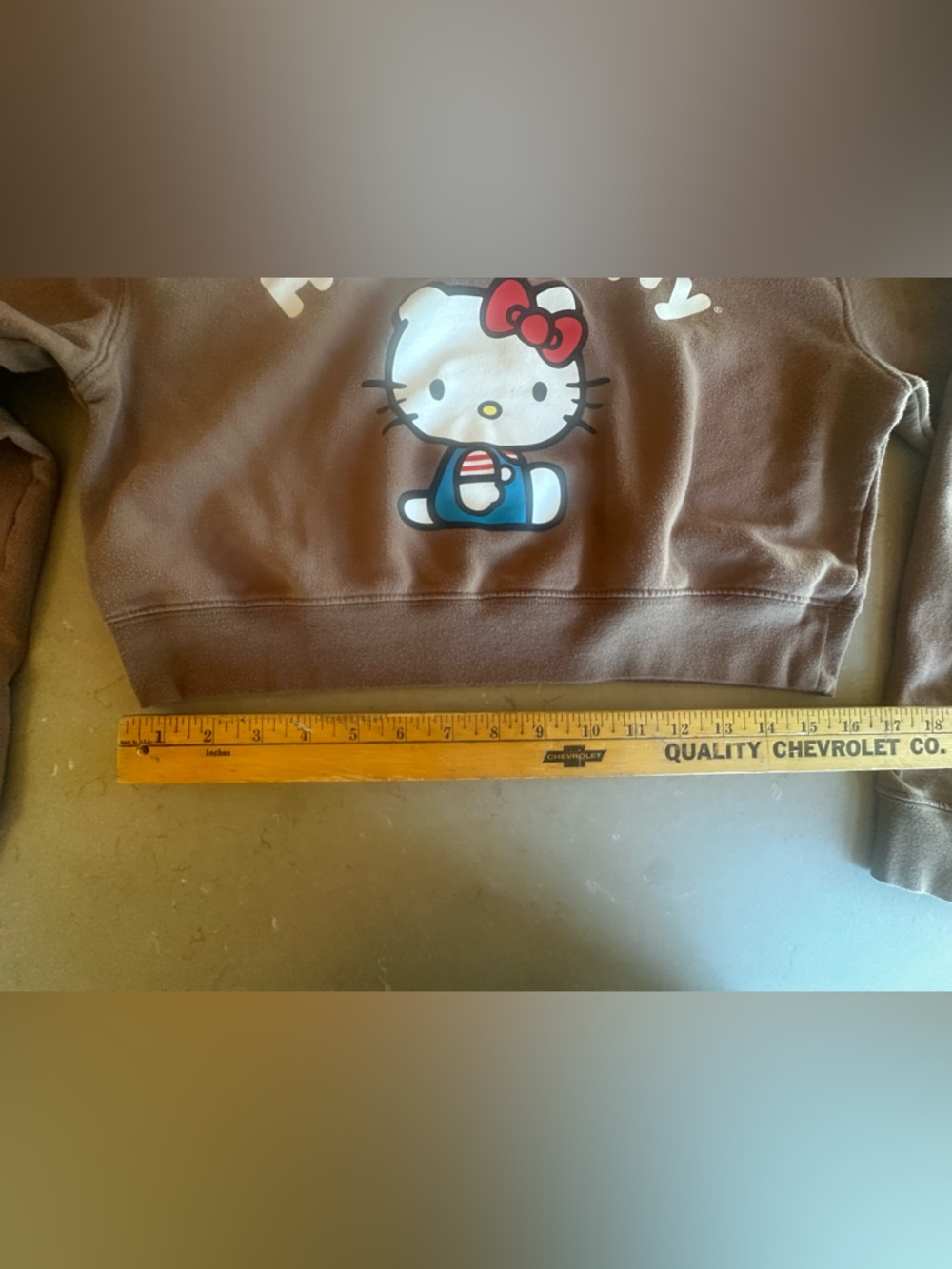 Hello Kitty Sanrio Soft Brown Cropped Hoodie Sweatshirt Size Small Y2K Cute Cozy - Picture 5 of 7